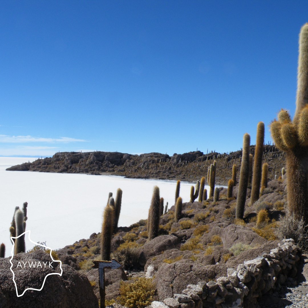 Uyuni Salt Flat 3 days