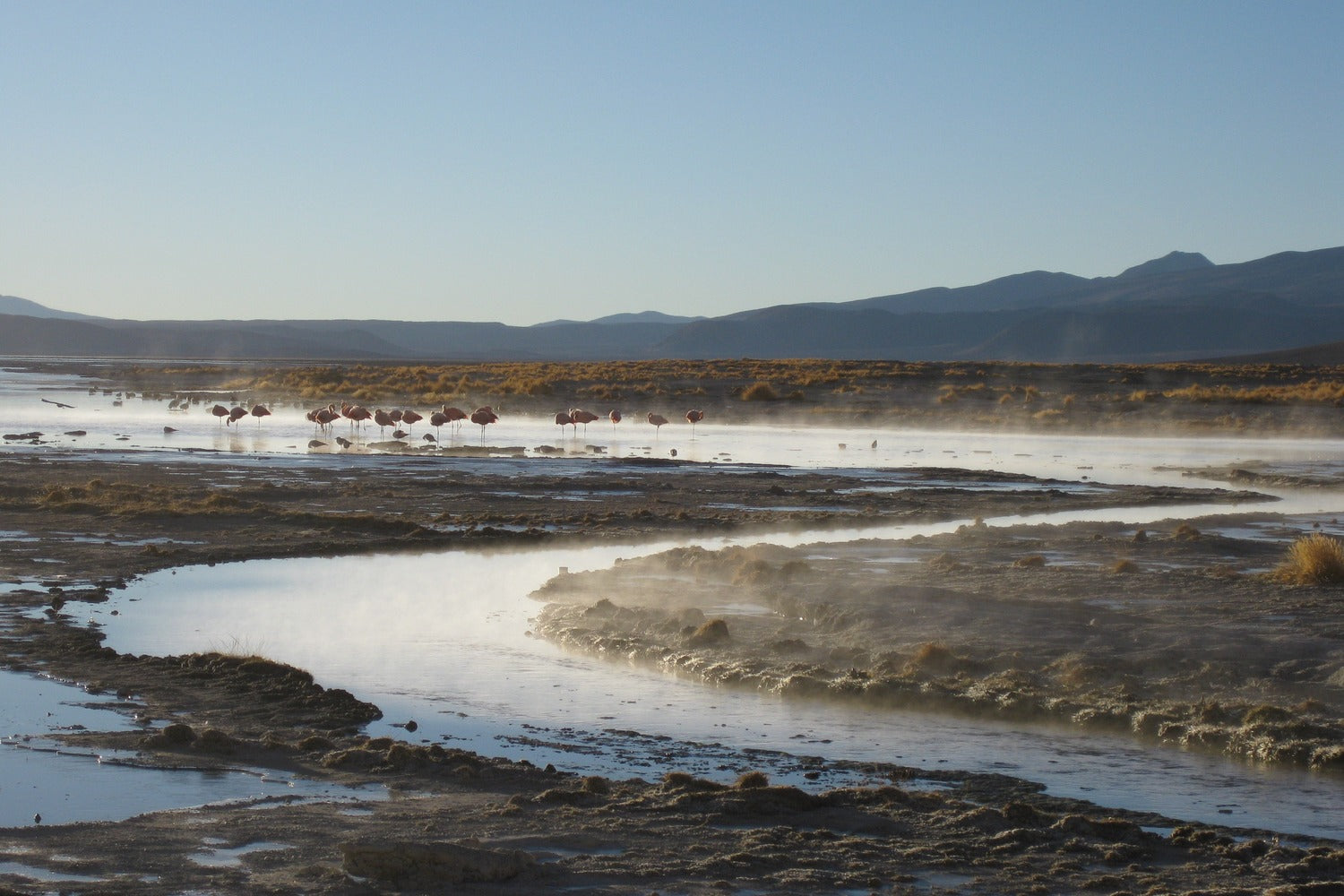 Desert landscape with salt flats and mountains in the distance at South Lipez