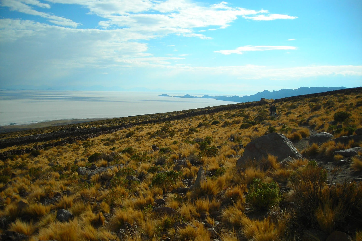High Andean landscape with native vegetation and panoramic views toward the vast Uyuni Salt Flats.