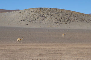 Foto - Salar de Uyuni