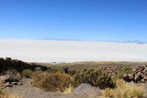 Desert landscape at Uyuni Salt Flats with white sand dunes and sparse vegetation under a clear blue sky.
