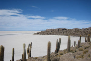 Uyuni salt flat landscape with Incahuasi island cacti under a blue sky.