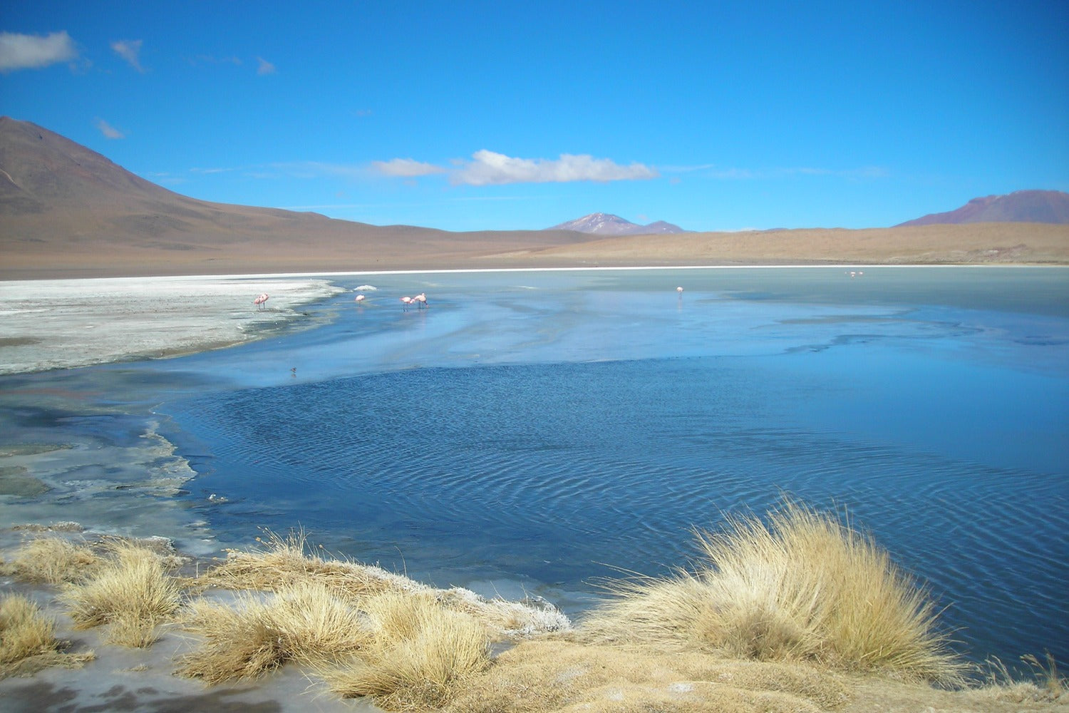 BOLUYUSL5 | Salar de Uyuni y Lipez Sur 5 días 4 noches