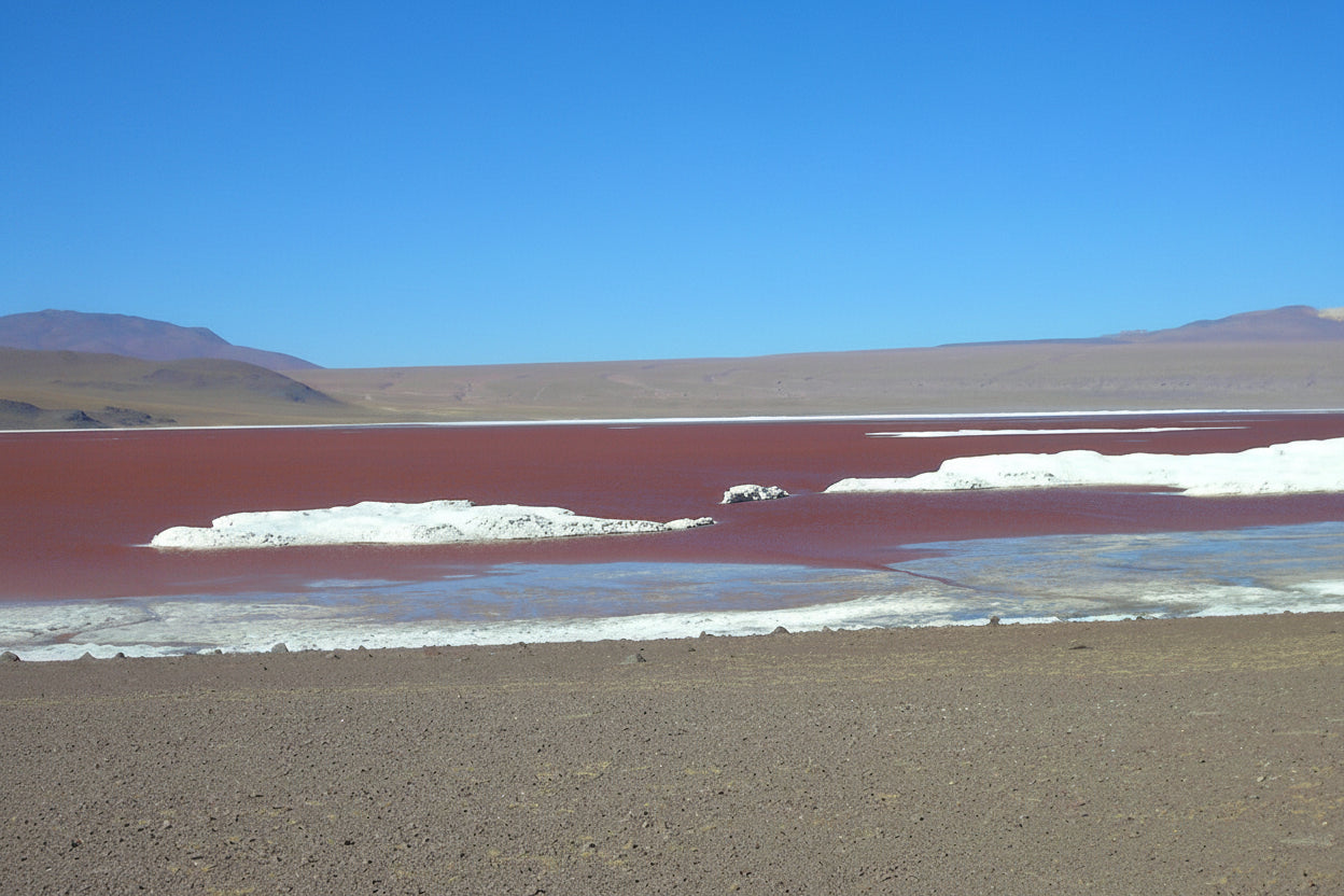 Red lake with white salt formations under a clear blue sky