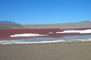 Red lake with white salt formations under a clear blue sky