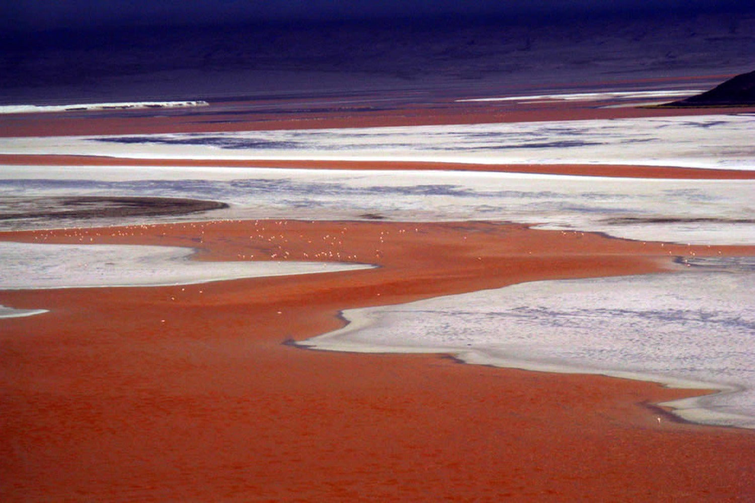 Red waters and white mineral edges at Laguna Colorada in South Lipez, Bolivia.