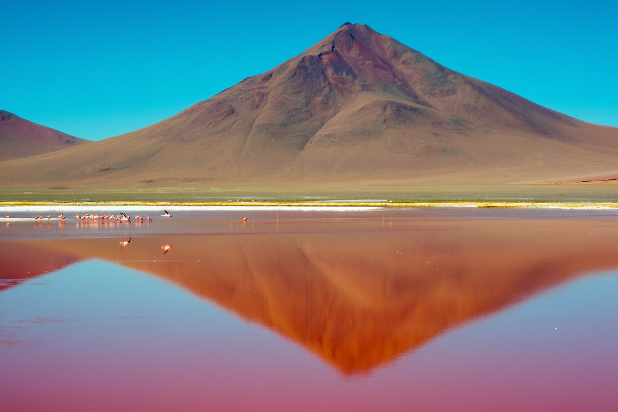 Volcano reflected in the red waters of Laguna Colorada in South Lipez, Bolivia