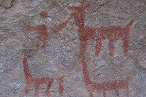 Prehistoric rock art of deer on a textured stone wall at South Lipez