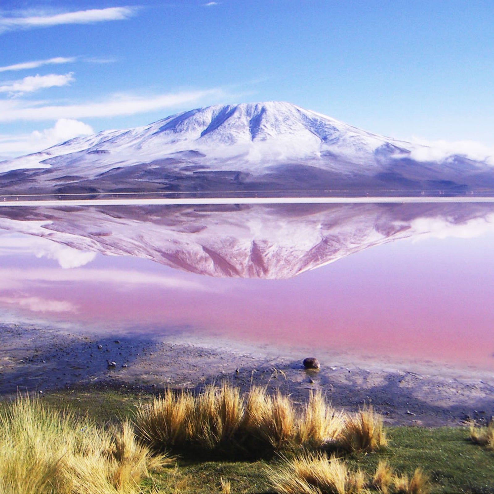 Snow-capped volcano reflected in the pink waters near Laguna Colorada in South Lipez, Bolivia