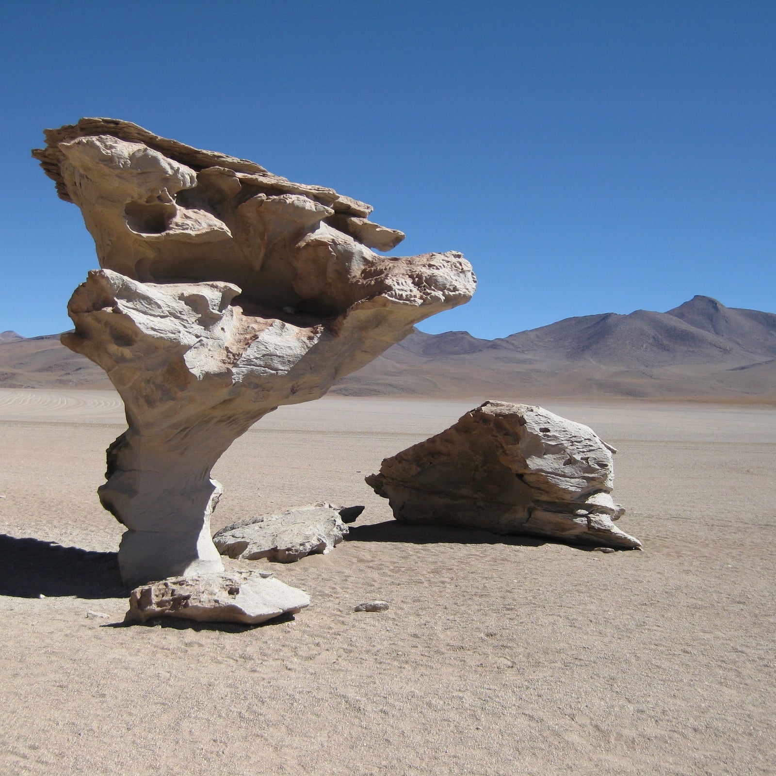 The famous Stone Tree, a spectacular rock formation sculpted by the wind in the Siloli Desert.