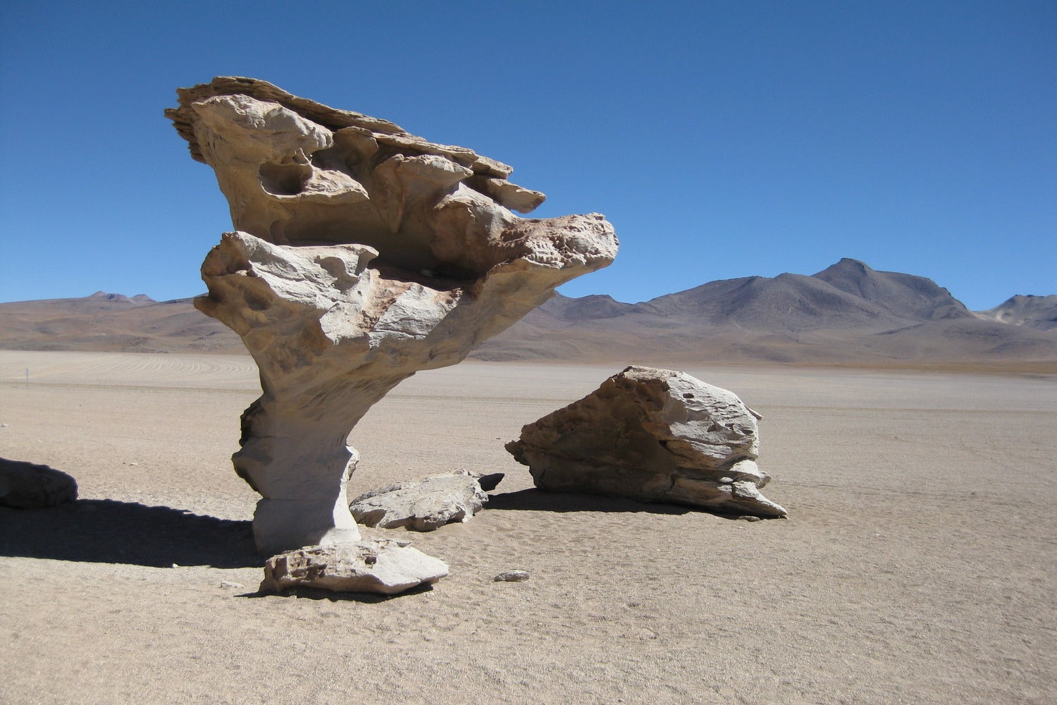 Stone Tree located in the Siloli Desert.