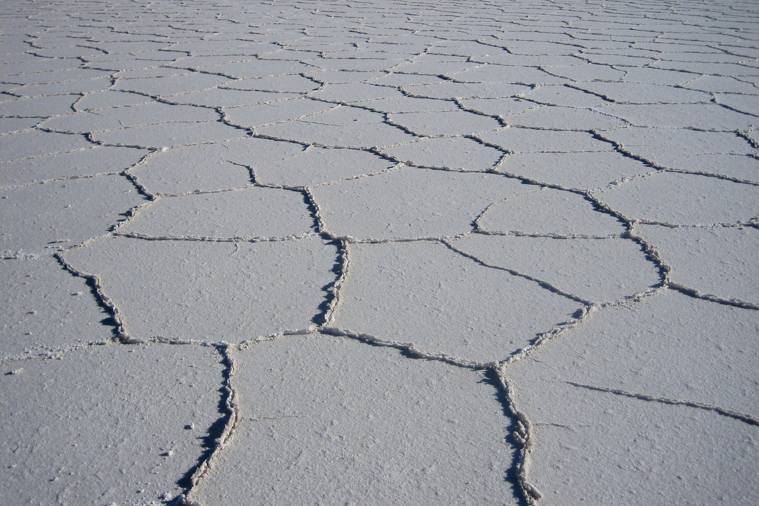 Polygones formation at Uyuni salt flat during dry season, Bolivia